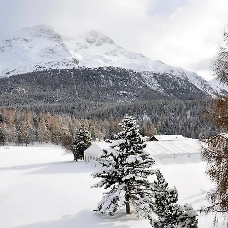 Apartament Cosy Facing Piz Rosatsch Sankt Moritz