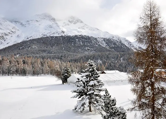 Daire Cosy Facing Piz Rosatsch Saint-Moritz