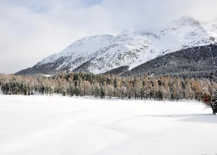 Cosy Facing Piz Rosatsch *