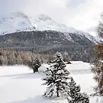 Apartment Cosy Facing Piz Rosatsch St. Moritz
